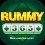 Rummy 365 agent apk